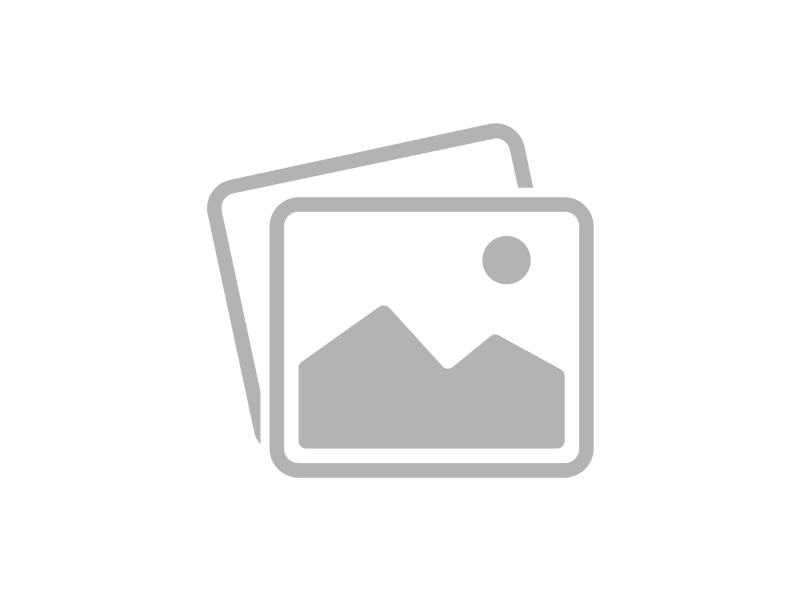 2025年春節假期安排及業務調整通知